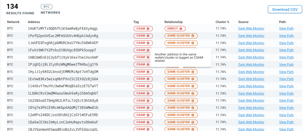 CSAM Checker results table with one row per match, showing the relationship, the tag concept, the tag source and a link back into Pathfinder.